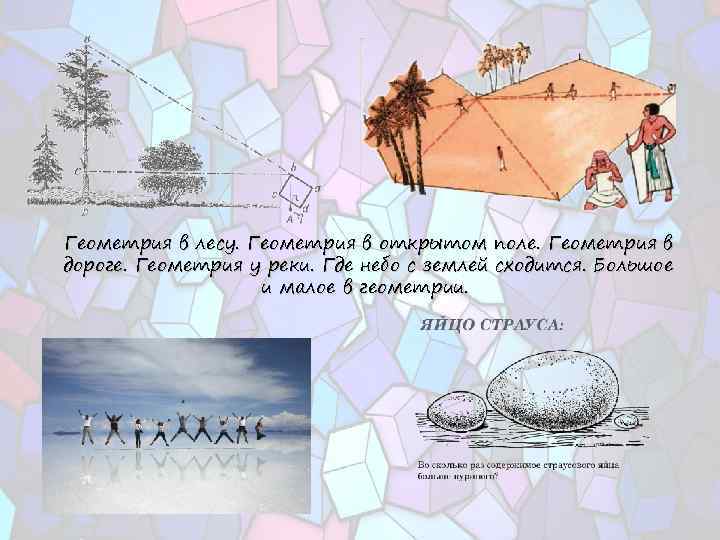 Геометрия в лесу. Геометрия в открытом поле. Геометрия в дороге. Геометрия у реки. Где