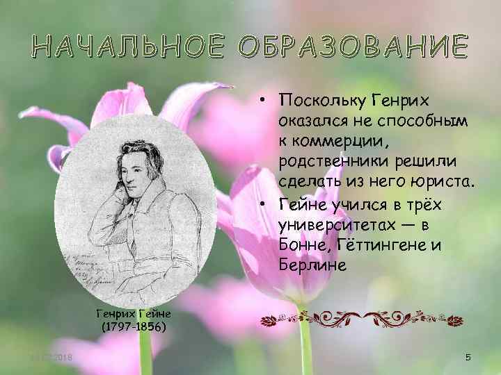 НАЧАЛЬНОЕ ОБРАЗОВАНИЕ • Поскольку Генрих оказался не способным к коммерции, родственники решили сделать из