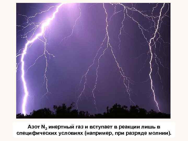 Азот N 2 инертный газ и вступает в реакции лишь в специфических условиях (например,