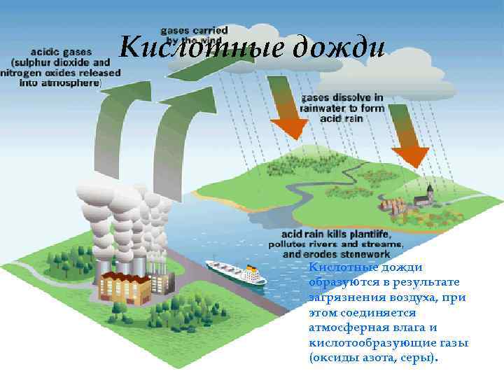 Кислотные дожди образуются в результате загрязнения воздуха, при этом соединяется атмосферная влага и кислотообразующие