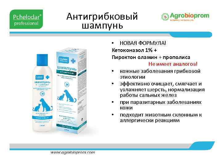 Антигрибковый шампунь • НОВАЯ ФОРМУЛА! Кетоконазол 1% + Пироктон оламин + прополиса Не имеет