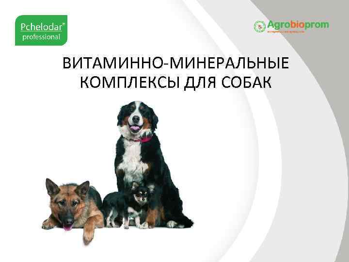 ВИТАМИННО-МИНЕРАЛЬНЫЕ КОМПЛЕКСЫ ДЛЯ СОБАК 