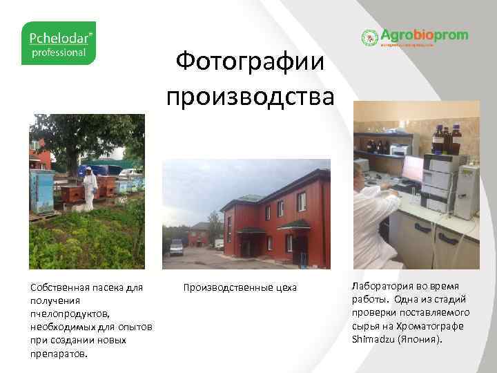 Фотографии производства Собственная пасека для получения пчелопродуктов, необходимых для опытов при создании новых препаратов.