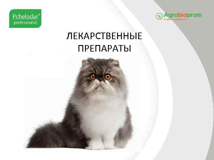 ЛЕКАРСТВЕННЫЕ ПРЕПАРАТЫ 