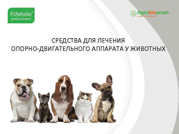 СРЕДСТВА ДЛЯ ЛЕЧЕНИЯ ОПОРНО-ДВИГАТЕЛЬНОГО АППАРАТА У ЖИВОТНЫХ 