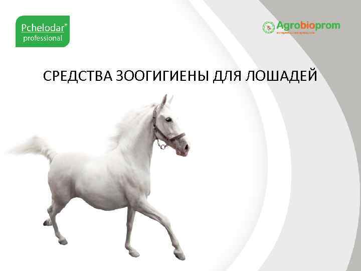 СРЕДСТВА ЗООГИГИЕНЫ ДЛЯ ЛОШАДЕЙ 