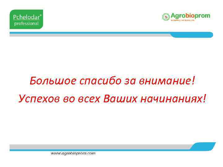 Большое спасибо за внимание! Успехов во всех Ваших начинаниях! 