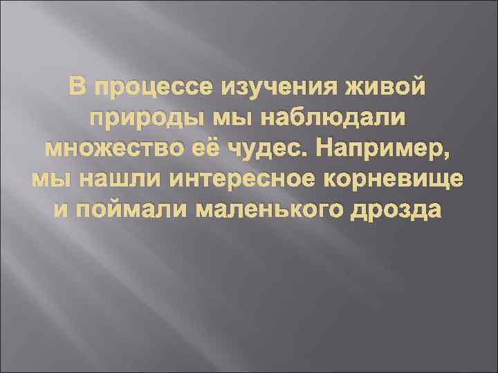 В процессе изучения живой природы мы наблюдали множество её чудес. Например, мы нашли интересное