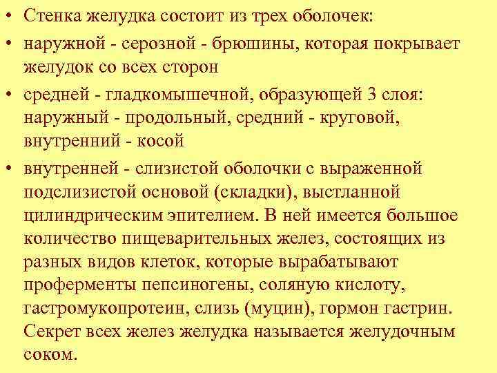  • Стенка желудка состоит из трех оболочек: • наружной - серозной - брюшины,