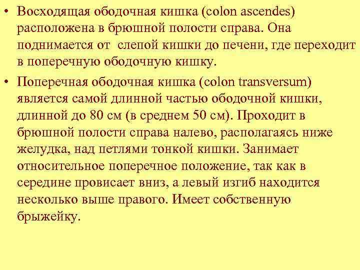  • Восходящая ободочная кишка (colon ascendes) расположена в брюшной полости справа. Она поднимается