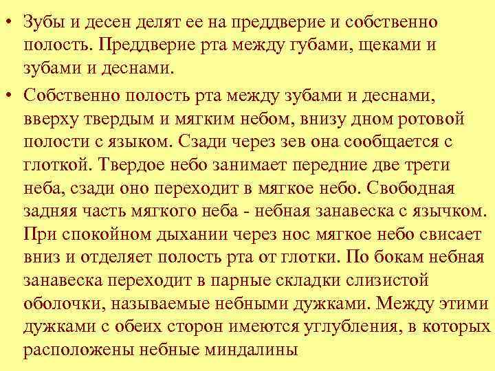  • Зубы и десен делят ее на преддверие и собственно полость. Преддверие рта