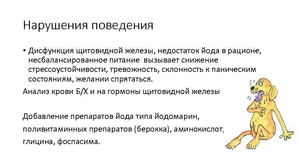 Нарушения поведения • Дисфункция щитовидной железы, недостаток йода в рационе, несбалансированное питание вызывает снижение