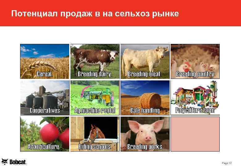 Потенциал продаж в на сельхоз рынке Cereal. Breeding dairy. Breeding meat. Breeding poultry Coopératives