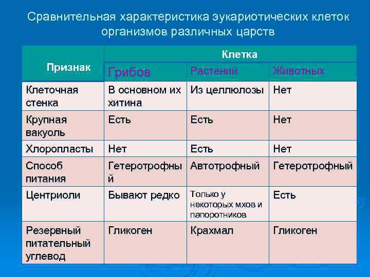 Сравнительная характеристика эукариотических клеток организмов различных царств Клетка Признак Грибов Растений Животных Клеточная стенка