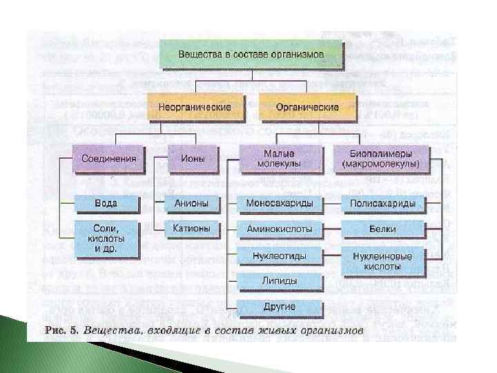 Органические вещества клетки это