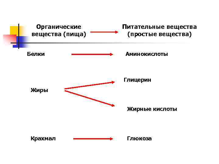 Органические вещества (пища) Белки Питательные вещества (простые вещества) Аминокислоты Глицерин Жиры Жирные кислоты Крахмал