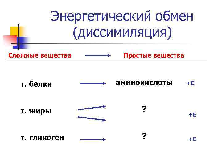 Энергетический обмен (диссимиляция) Сложные вещества Простые вещества т. белки аминокислоты т. жиры ? т.