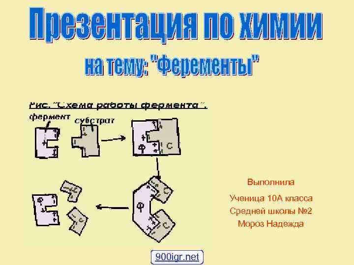 Выполнила Ученица 10 А класса Средней школы № 2 Мороз Надежда 900 igr. net