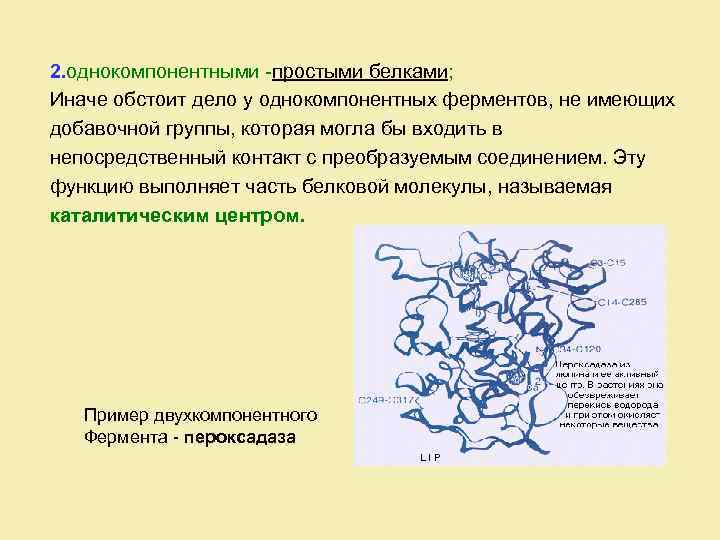 2. однокомпонентными -простыми белками; Иначе обстоит дело у однокомпонентных ферментов, не имеющих добавочной группы,