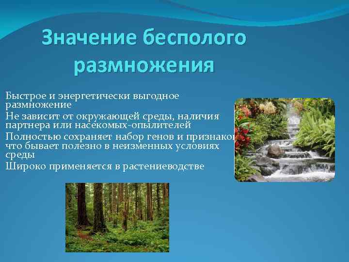 Какое значение имеет размножение. Значение бесполого размножения. Значение бесполовово размножения. Значение бесолового размножения. Значение безпологоразмножения.