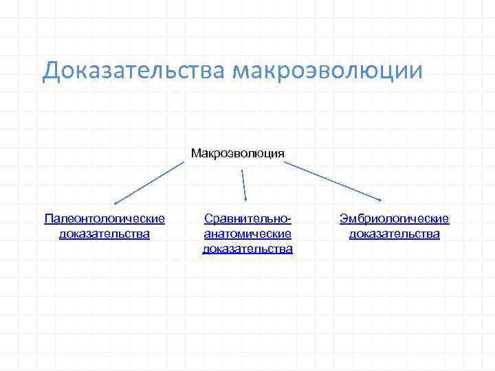 Доказательства макроэволюции Макроэволюция Палеонтологические доказательства Сравнительноанатомические доказательства Эмбриологические доказательства 