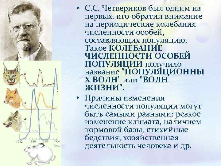  • С. С. Четвериков был одним из первых, кто обратил внимание на периодические