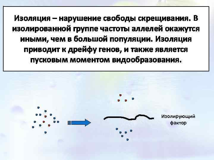 Изоляция – нарушение свободы скрещивания. В изолированной группе частоты аллелей окажутся иными, чем в