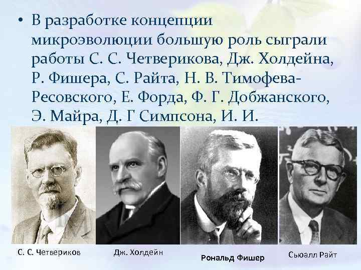  • В разработке концепции микроэволюции большую роль сыграли работы С. С. Четверикова, Дж.