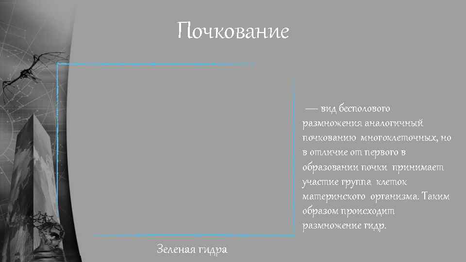 Почкование — вид бесполового размножения аналогичный почкованию многоклеточных, но в отличие от первого в