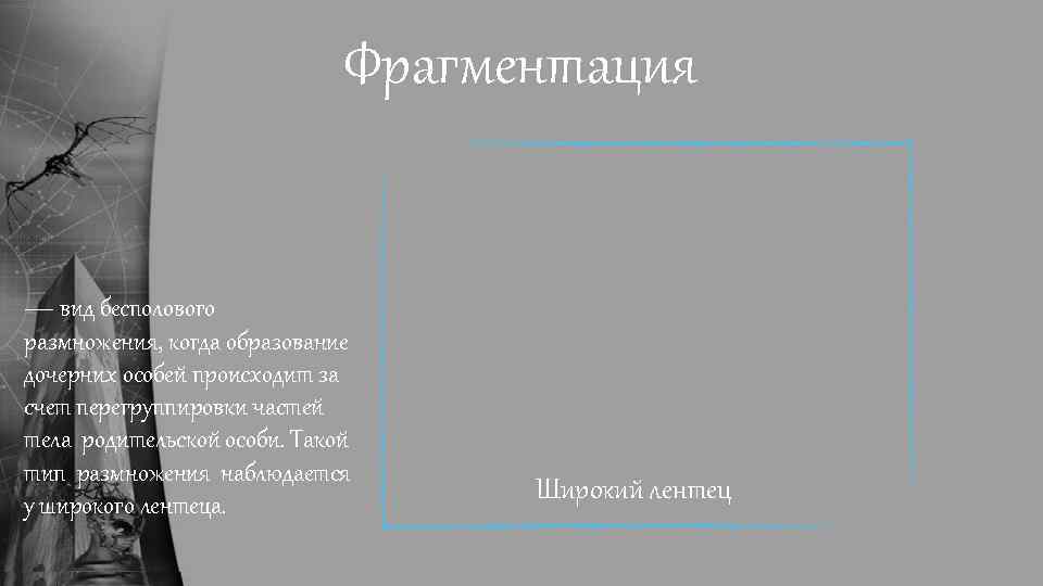 Фрагментация — вид бесполового размножения, когда образование дочерних особей происходит за счет перегруппировки частей