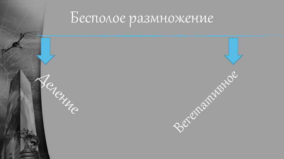 гет Ве ие ат лен ив но Де е Бесполое размножение 