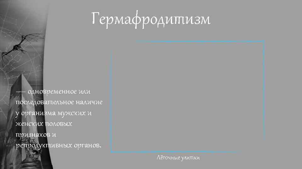 Гермафродитизм — одновременное или последовательное наличие у организма мужских и женских половых признаков и