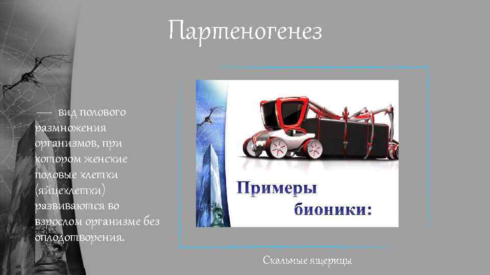 Партеногенез — вид полового размножения организмов, при котором женские половые клетки (яйцеклетки) развиваются во