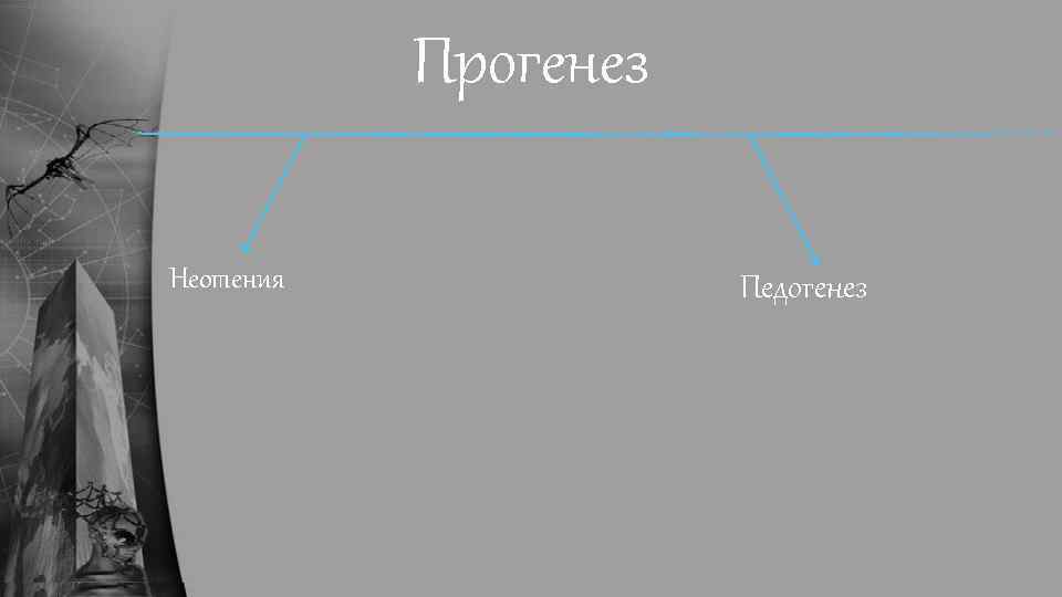 Прогенез Неотения Педогенез 