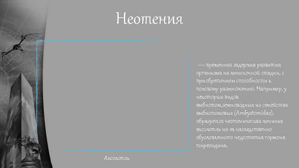 Неотения — временная задержка развития организма на личиночной стадии, с приобретением способности к половому