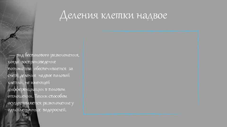 Деления клетки надвое — вид бесполового размножения, когда воспроизведение потомства обеспечивается за счет деления