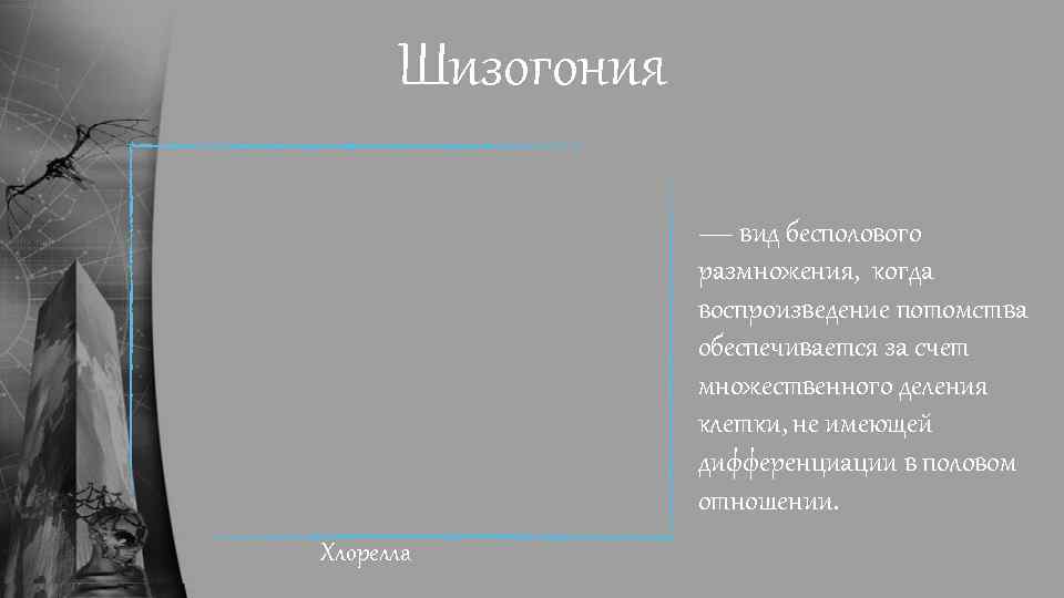 Шизогония — вид бесполового размножения, когда воспроизведение потомства обеспечивается за счет множественного деления клетки,