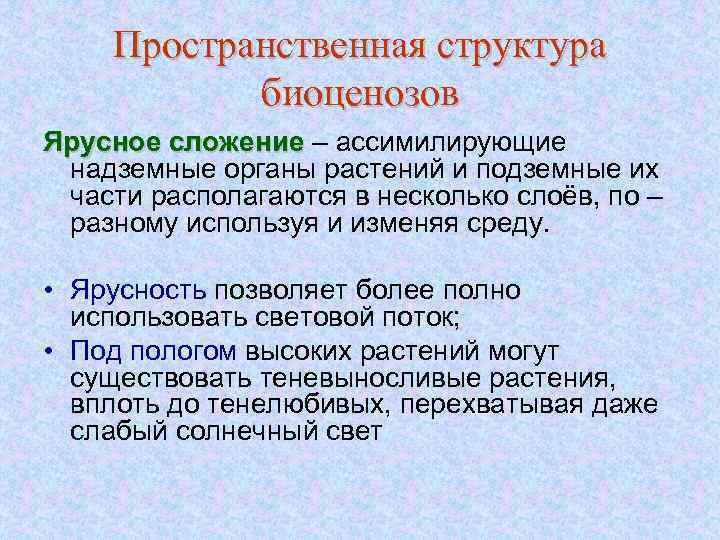 Пространственная структура биоценозов Ярусное сложение – ассимилирующие надземные органы растений и подземные их части