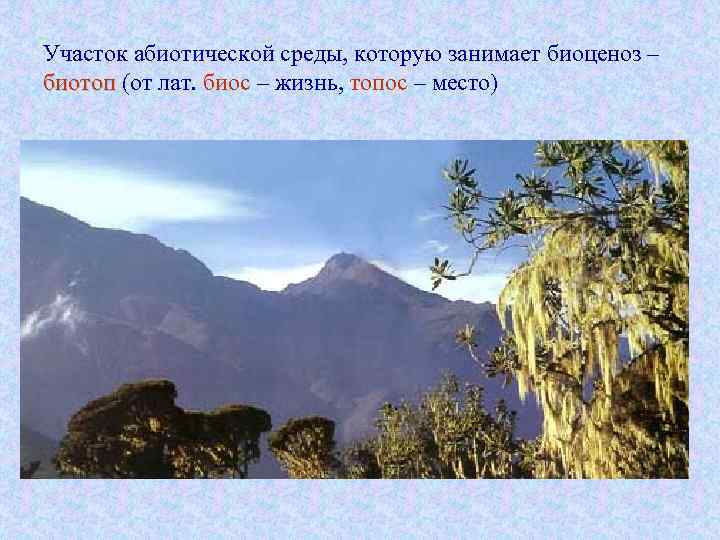 Участок абиотической среды, которую занимает биоценоз – биотоп (от лат. биос – жизнь, топос