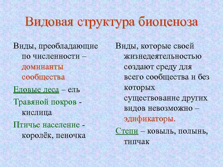 Видовая структура биоценоза Виды, преобладающие по численности – доминанты сообщества Еловые леса – ель