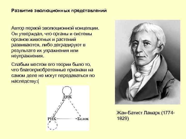 Развитие эволюционных представлений Автор первой эволюционной концепции. Он утверждал, что органы и системы органов