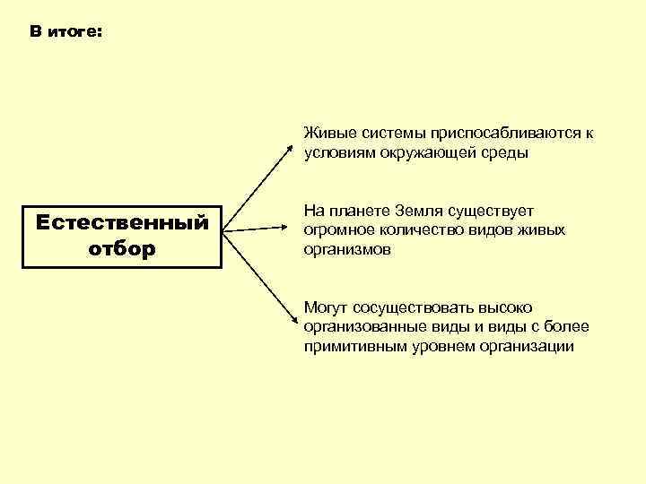 В итоге: Живые системы приспосабливаются к условиям окружающей среды Естественный отбор На планете Земля