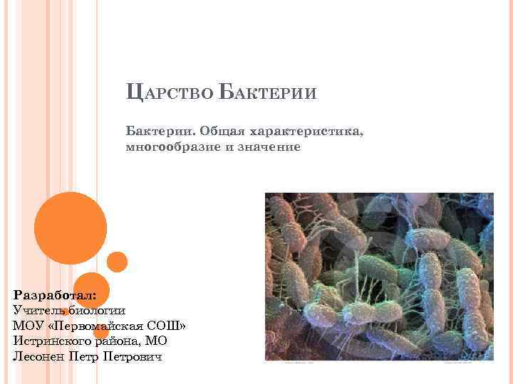 ЦАРСТВО БАКТЕРИИ Бактерии. Общая характеристика, многообразие и значение Разработал: Учитель биологии МОУ «Первомайская СОШ»
