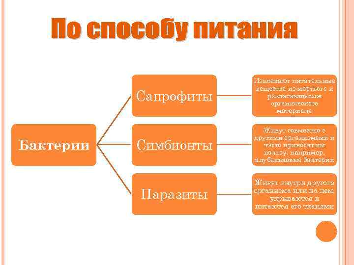 Сапрофиты Бактерии Извлекают питательные вещества из мертвого и разлагающегося органического материала Симбионты Живут совместно
