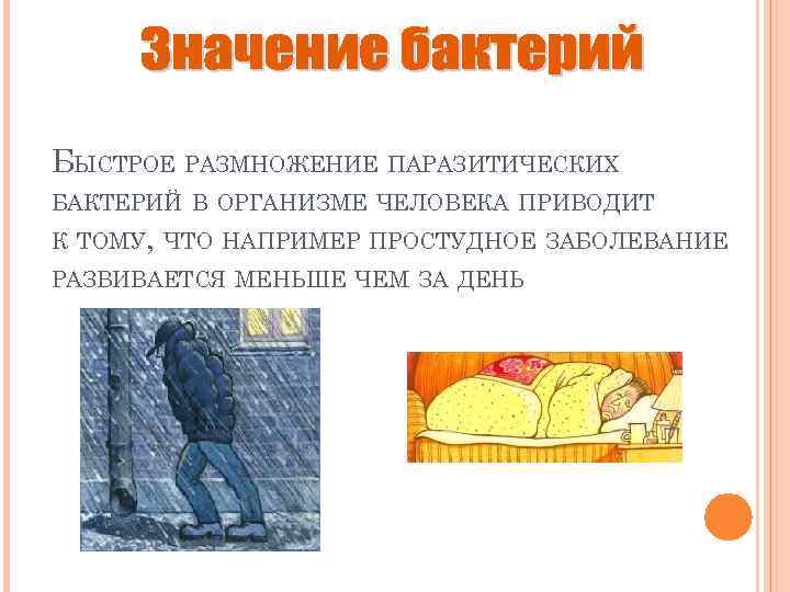 БЫСТРОЕ РАЗМНОЖЕНИЕ ПАРАЗИТИЧЕСКИХ БАКТЕРИЙ В ОРГАНИЗМЕ ЧЕЛОВЕКА ПРИВОДИТ К ТОМУ, ЧТО НАПРИМЕР ПРОСТУДНОЕ ЗАБОЛЕВАНИЕ