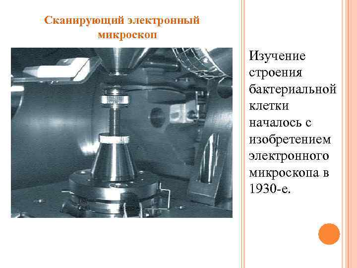Сканирующий электронный микроскоп Изучение строения бактериальной клетки началось с изобретением электронного микроскопа в 1930