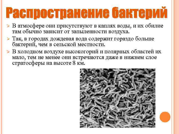 Ø Ø Ø В атмосфере они присутствуют в каплях воды, и их обилие там
