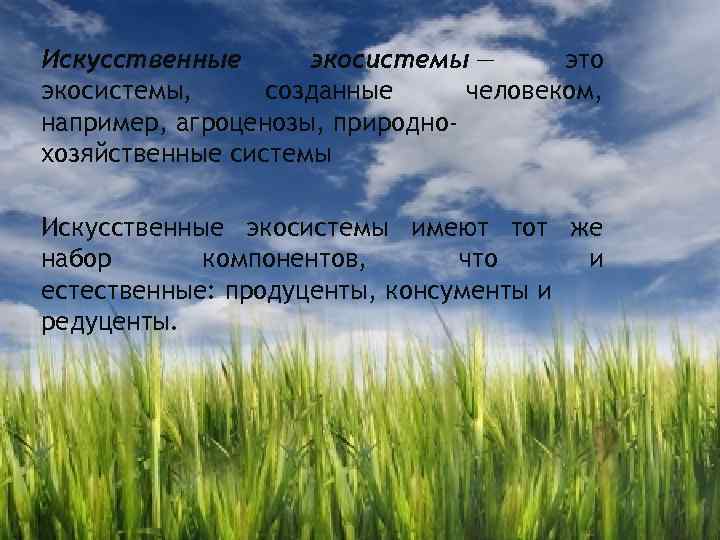 Искусственные экосистемы — это экосистемы, созданные человеком, например, агроценозы, природнохозяйственные системы Искусственные экосистемы имеют