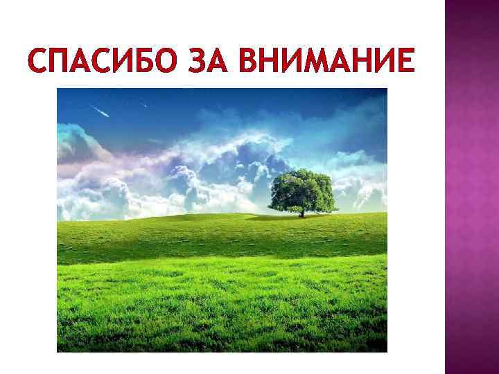 СПАСИБО ЗА ВНИМАНИЕ 