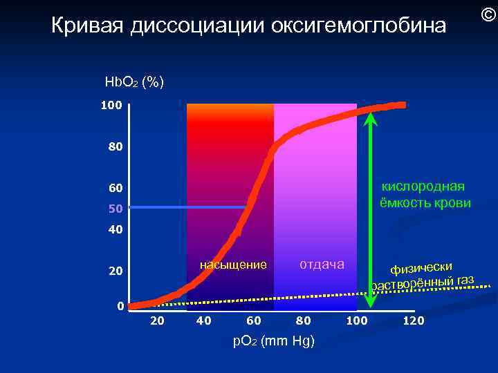 Кислородная емкость гемоглобина